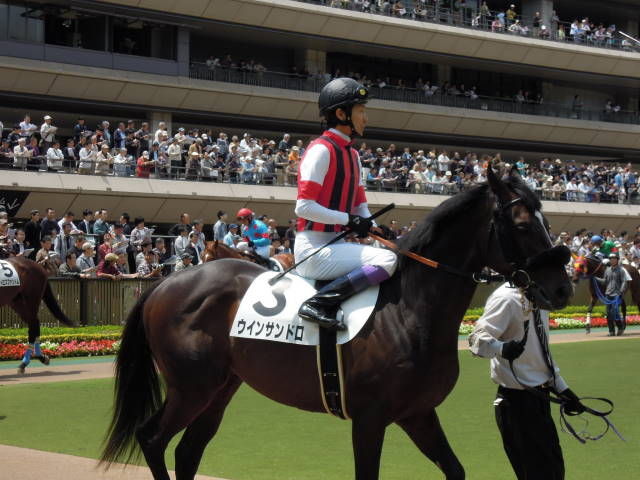 DSCN0152