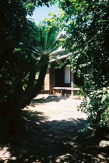 tane-furuichi