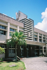 minami-tane