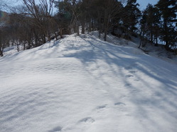 駒ヶ岳北尾根取付き