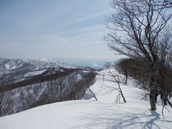 焼枯(高畠最高峰)から栗子尾根