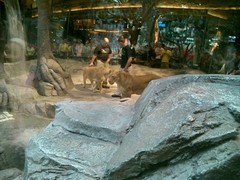 MGM¥é¥¤¥ª¥óH1