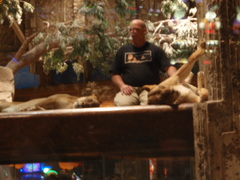 MGM¥é¥¤¥ª¥óH2