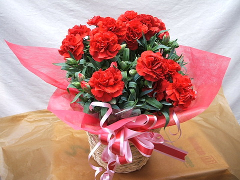 img10464549361