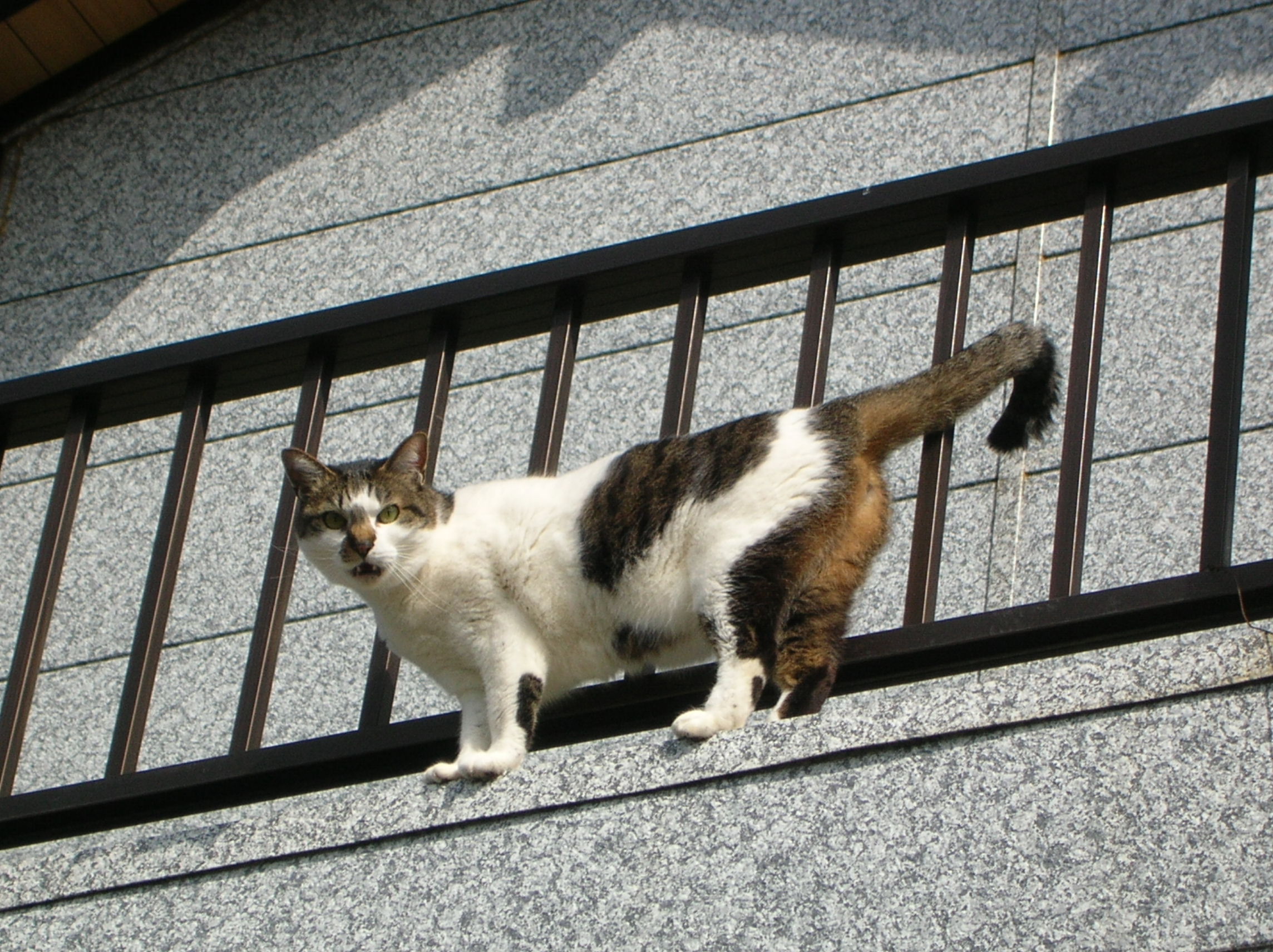 2009ǯ4·î 024