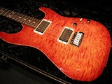 tom_anderson_cobras_body