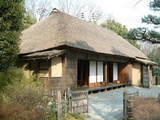 tayama