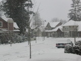 Snow 002