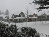 Snow 001