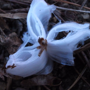 R0071565