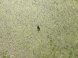 071302aosujiageha