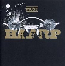 muse