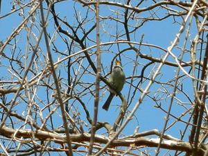 DSCN15710892