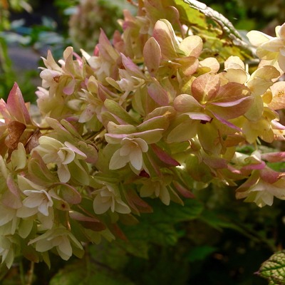 R0074413