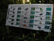 IMG_8508