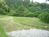 052901tanbo