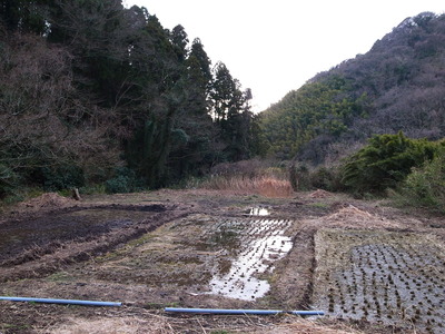 RIMG24450