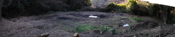 teramae20110102