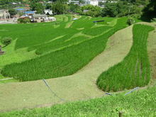 DSCN8232_1