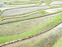DSCN7446_2