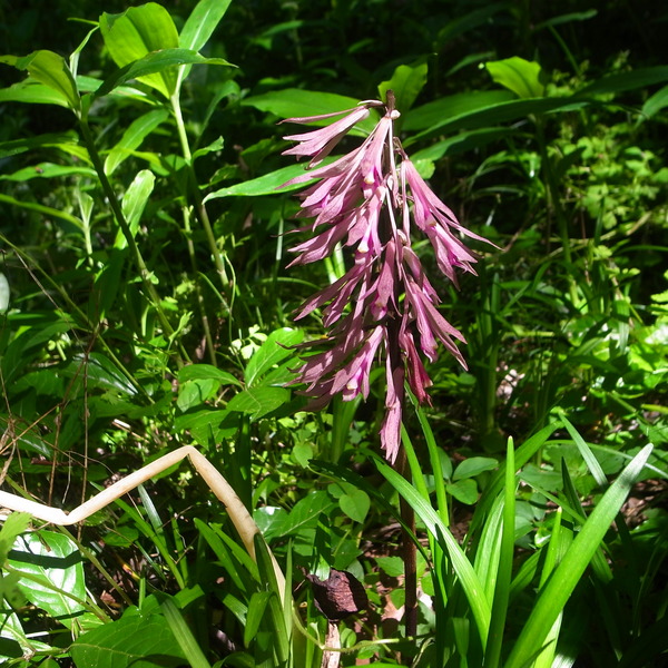 R0073554