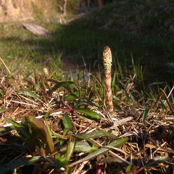 R0072343