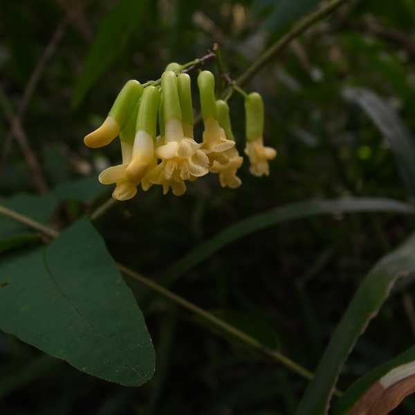 R0086992