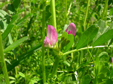 DSCN15180839