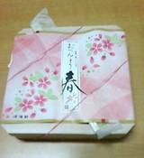 崎陽軒 カレッタ汐留店 おべんとう春 包装