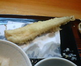 銀座ナイン そうかわ ランチ 天麩羅 アナゴ一本