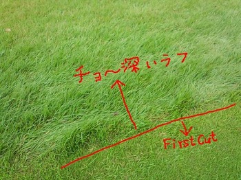 東急セブンハンドレッドクラブ 深いラフ