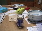 いんこピーコちゃん酒