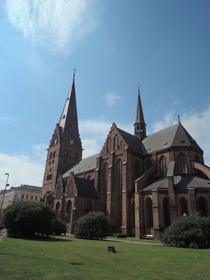 DSCN6700