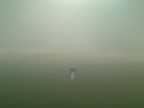 a7e8ee14.jpg