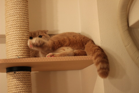 向こう行って