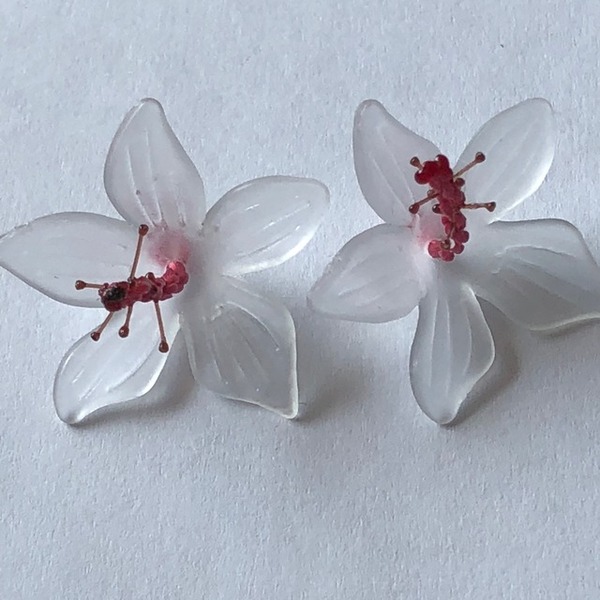 6hybiscus