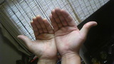 9213a076.jpg