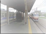 0bd19620.jpg