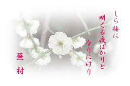 232fda9a.jpg