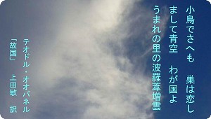 d7f7a56f.jpg