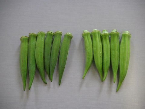 20100310okura