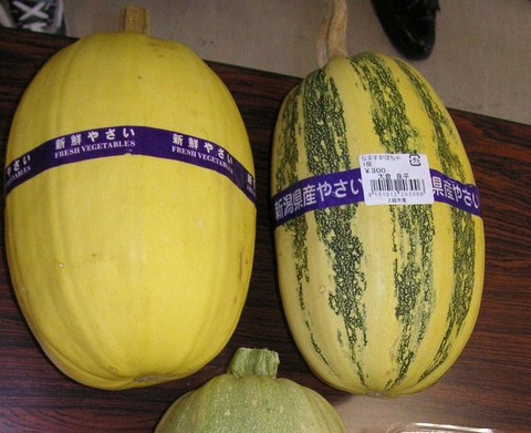 20100310namasu