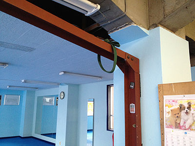 kobito2