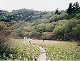 0657aa4a.jpg