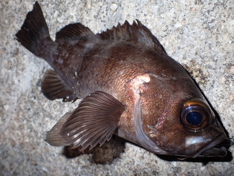 P3051604