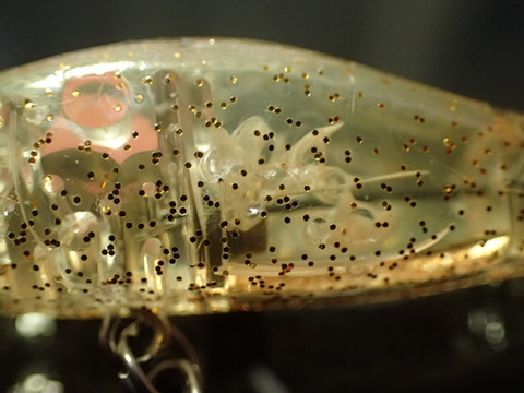 P3280266