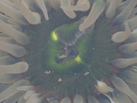 P2210120