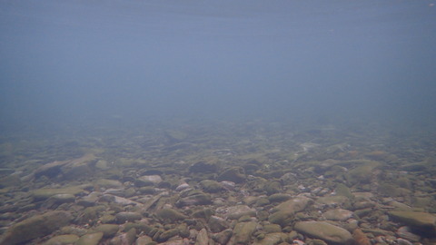 P1120005