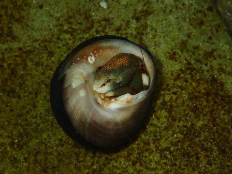 P2210105