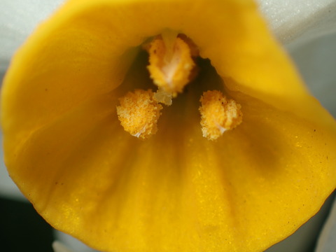 P1240042